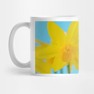 Narcissus  &#39;Puppet&#39;  Daffodil  Division 5  Triandrus Mug